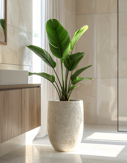 plants bathroom makeover